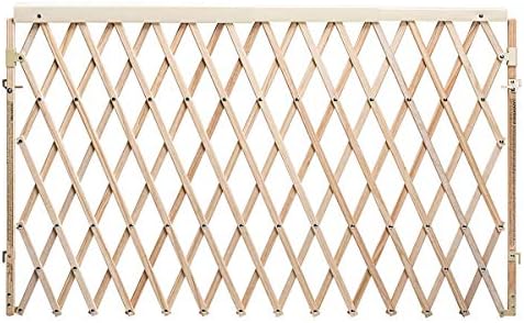 Evenflo Expansion Walk Thru Room Divider Gate