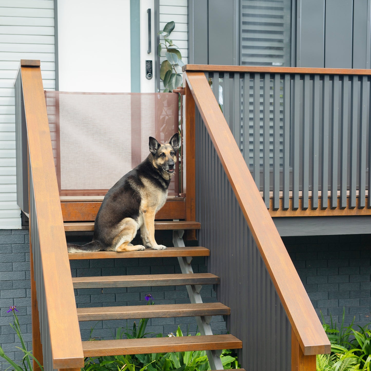 71" Wide Retractable Baby Gate (Refurbished)